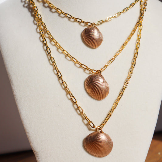 Authentic Beach Shell Necklace