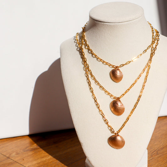 Authentic Beach Shell Necklace